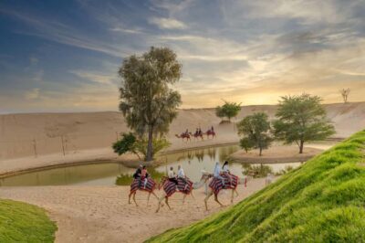 Dubai: Overnight Safari with Luxury Dome Stay & Stargazing - Dune drive, sandboarding, camel ride, and wildlife: the fun parts with real context