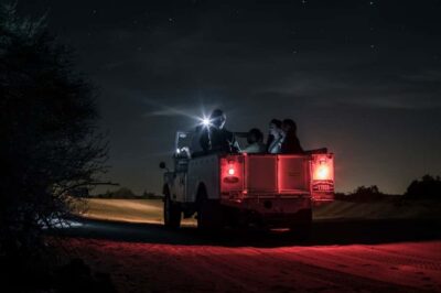 Dubai: Private Night Safari & Astronomy with 3-Course Dinner - The 1950s-style Land Rover ride: the ride matters here