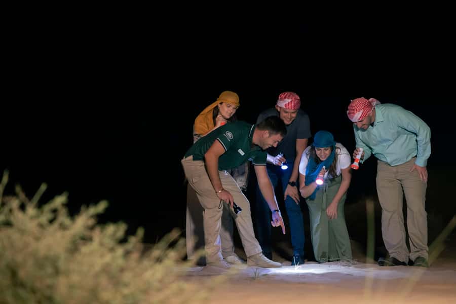 Dubai: Private Night Safari & Astronomy with 3-Course Dinner - The 5-hour timeline: when to plan your day