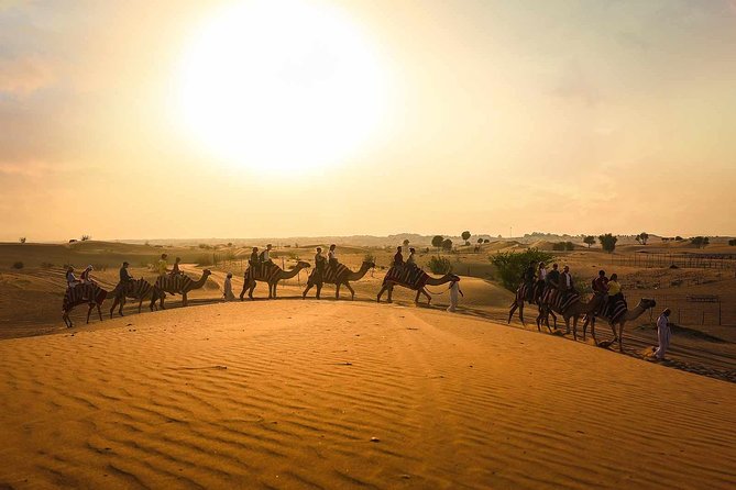 Dubai: Sunset Camel Trek, Al Khayma Camp, Stargazing & BBQ - Key highlights worth knowing before you go