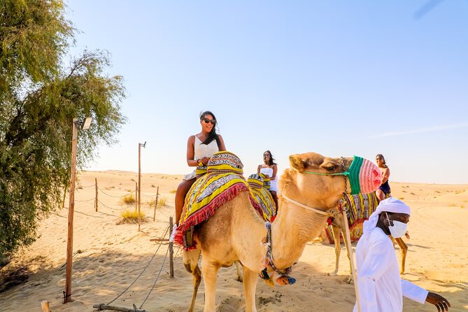 Dubai: Sunset Camel Trek, Al Khayma Camp, Stargazing & BBQ - Pickup, timing, and how the 6 hours really work