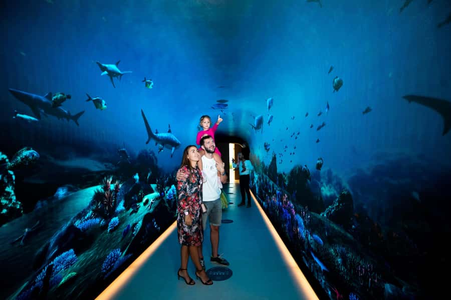 Dubai: The View At The Palm Observatory Entry Ticket - Timing Tips: Morning Clarity, Sunset Glow, and Heat Reality