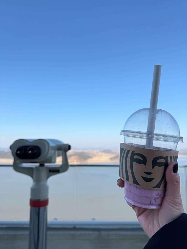 From Seoul: Aegibong Starbucks Observatory & DMZ View - Aegibong Peace Park Starbucks: a coffee break with real geopolitical weight