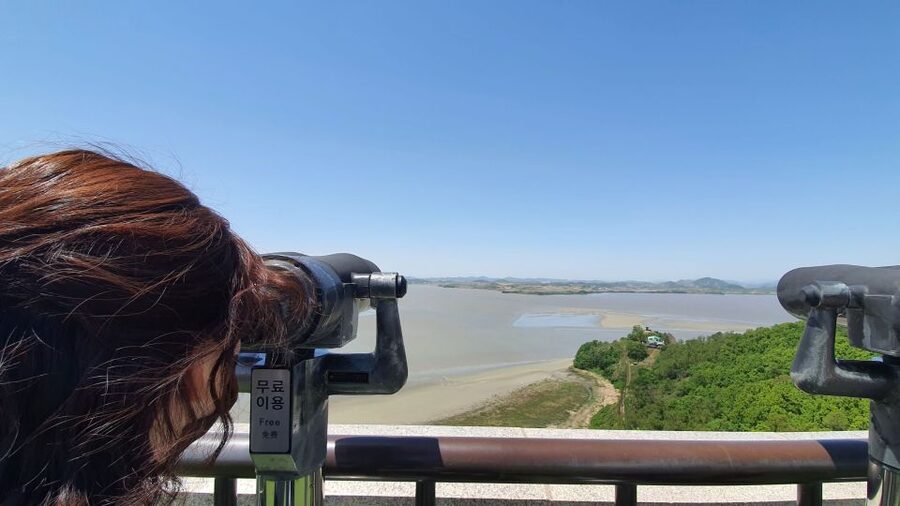 From Seoul: Private DMZ and Odusan Observatory Full-Day Tour - The Escort, the Outpost, and What You’re Really Seeing