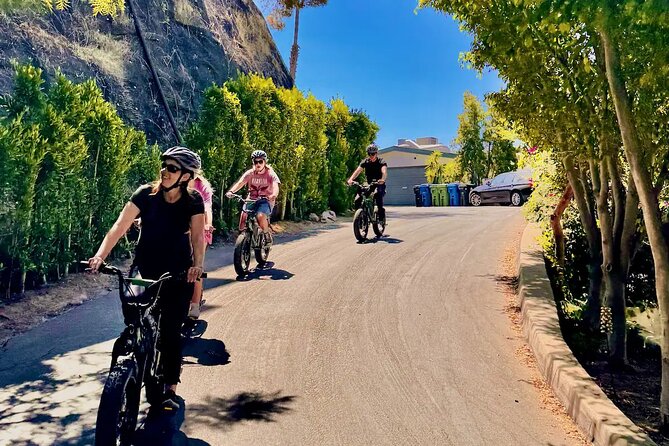 Griffith Observatory: Scott E-Bike Tours LA Private Tour - Start at the Hollywood Walk of Fame: Mosaic and a no-stress meeting point