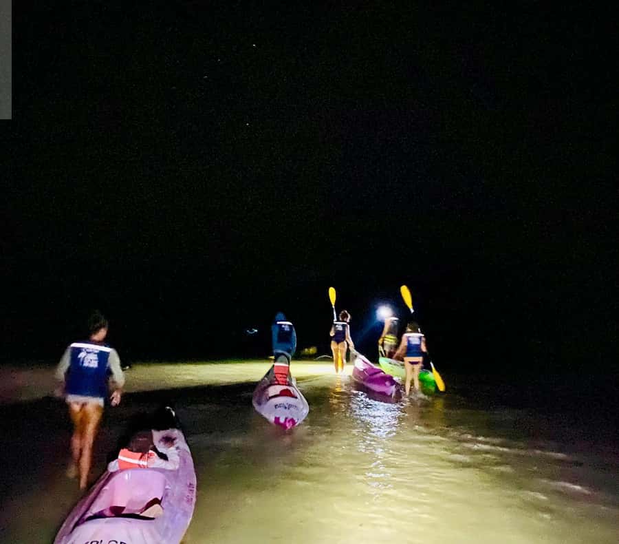 Holbox: Bioluminescence by Kayak and Stargazing. - The Kayak Section: Out to the Punta Mosquito Sandbanks (Without Entering the Protected Area)