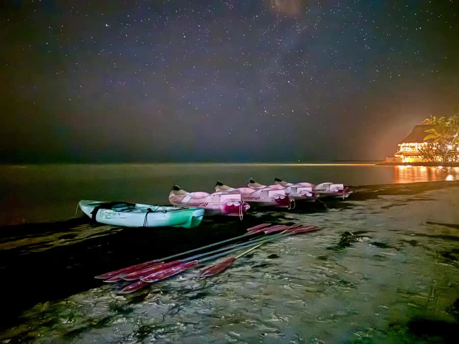Holbox: Bioluminescence by Kayak and Stargazing. - The Sandbar Walk: Where Footprints Light Up Blue-Green Dots