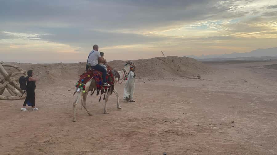 Hurghada: BADU Camp Camel Ride, Dinner, & Stargazing - Bedouin dinner: what you’ll eat and how it lands after the dunes