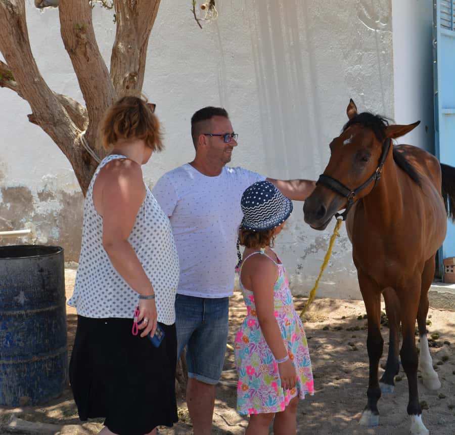 Hurghada: BADU Camp Camel Ride, Dinner, & Stargazing - Who should book this BADU camp experience, and who should skip it