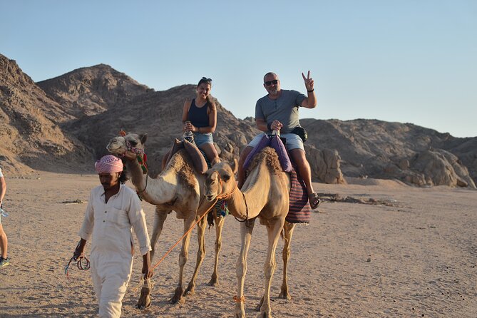 Hurghada Desert Sunset & Stargazing Tour with Dinner by Jeep - Getting there: pickup timing and what to expect in the vehicles