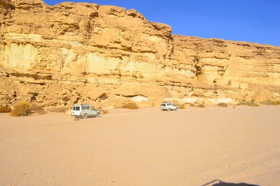Hurghada: Hiking , dinner & stargazing - Jeep, Hike, Dinner, Stars: The Key Things You’ll Remember