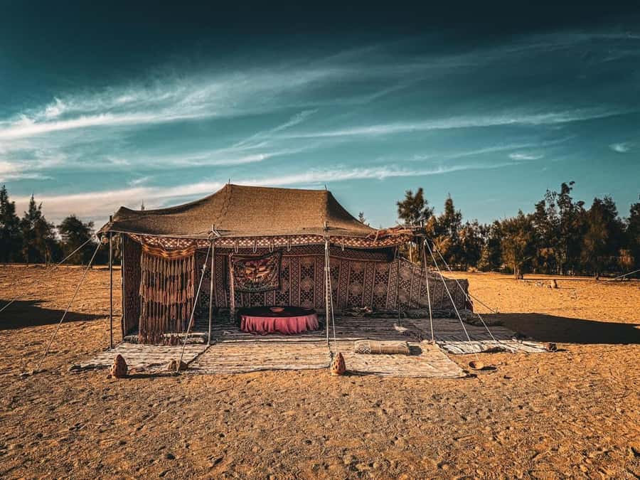 Hurghada: Hiking , dinner & stargazing - Sunset Dinner: When the Desert Changes Color
