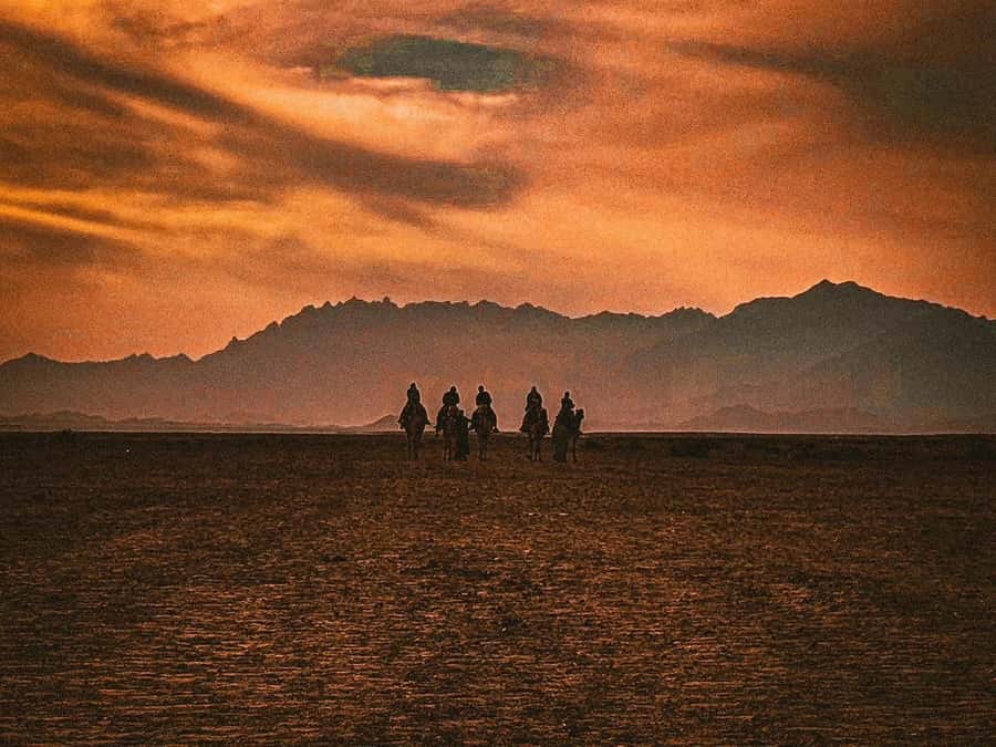 Hurghada: Hiking , dinner & stargazing - Price and Value: Is $68 a Fair Deal?