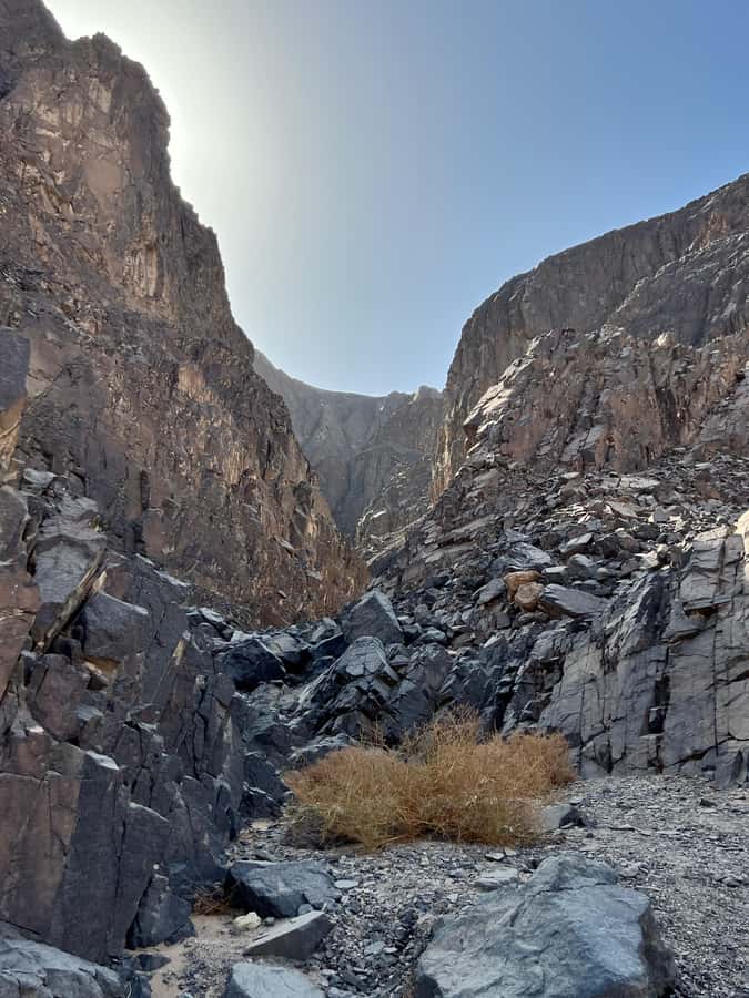 Hurghada: Hiking , dinner & stargazing - Should You Book This Hurghada Desert Jeep, Hike, Dinner and Stargazing Tour?