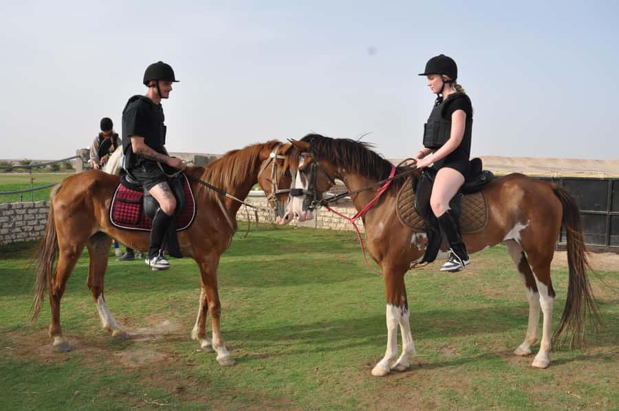 Hurghada: Horse Ride, BBQ Dinner, and Stargazing - Key Points to Know Before You Go