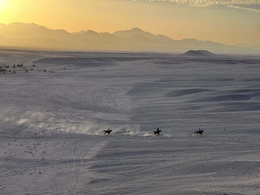 Hurghada: Horse Ride, BBQ Dinner, and Stargazing - Desert Horse Ride, BBQ, and Stargazing: The Real Vibe