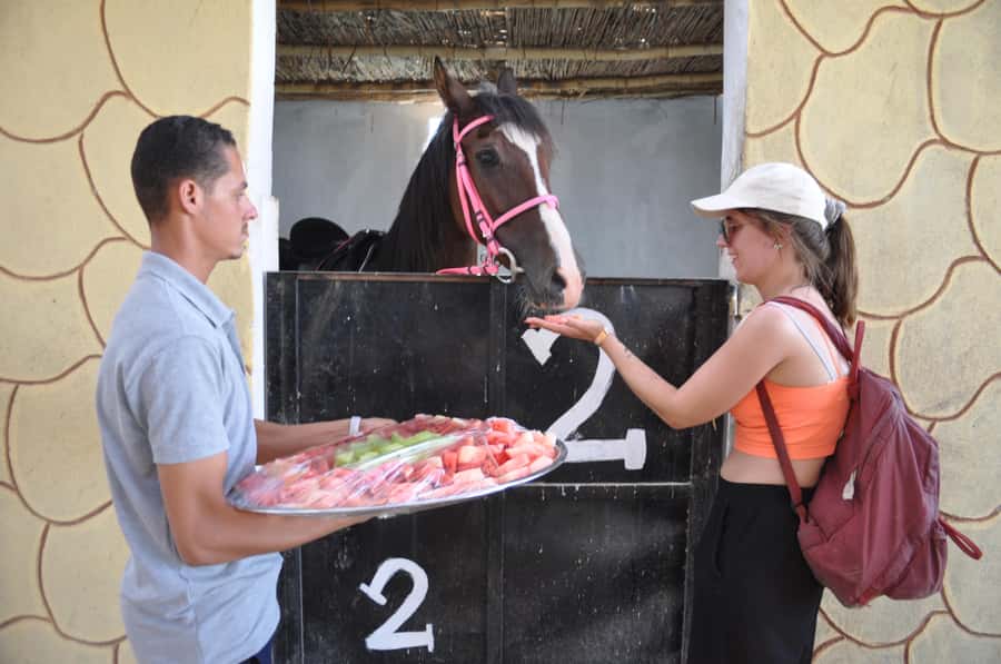 Hurghada: Horse Ride, BBQ Dinner, and Stargazing - One Hour Horse Riding at Sunset: Valleys, Mountains, and Real Views