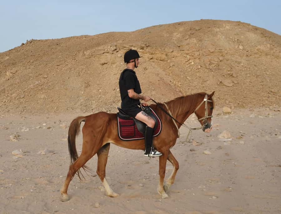 Hurghada: Horse Ride, BBQ Dinner, and Stargazing - Photo Stops and the Oasis Build-Up
