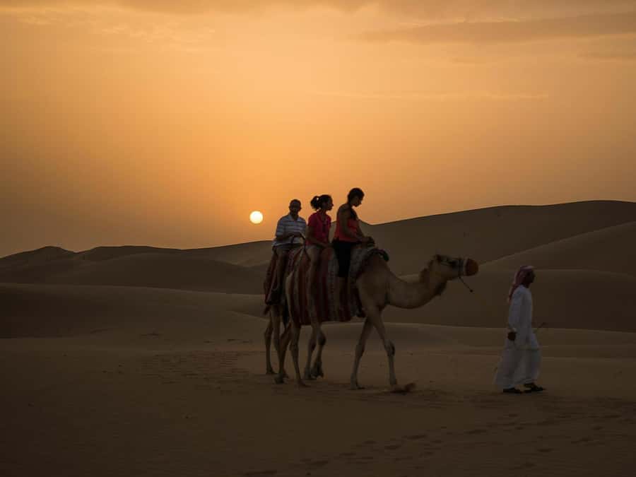 Hurghada: Quad Bike, Camel, Show, Dinner, & Stargazing Trip - Hurghada Desert Quad Bike Options: Pick the Right Version