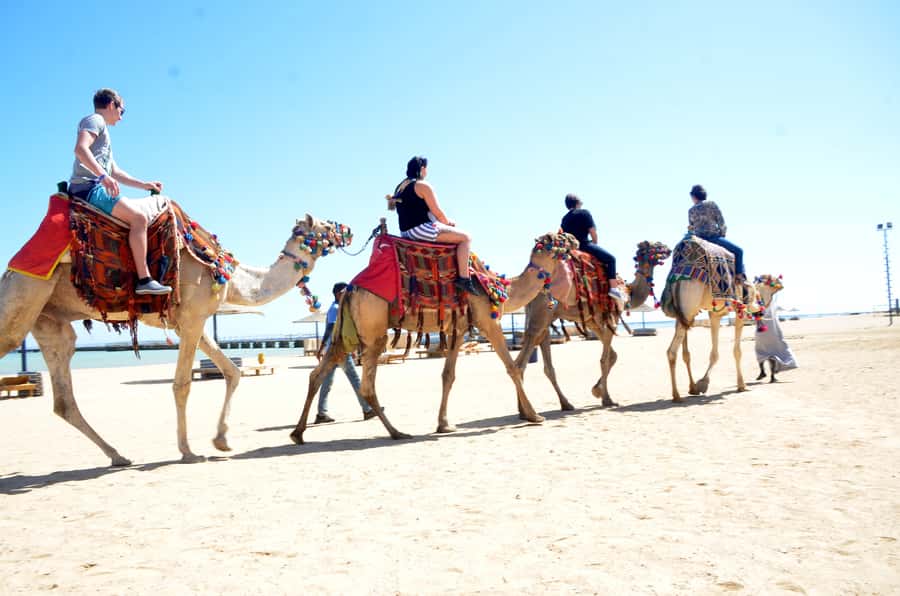 Hurghada: Sea & Desert Camel Ride w/Dinner, Show, Stargazing - Photos, phones, and why the guides are part of the magic