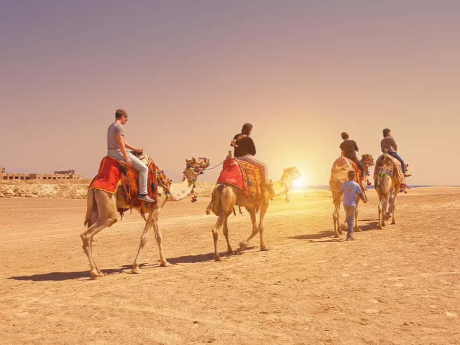 Hurghada: Sea & Desert Camel Ride w/Dinner, Show, Stargazing - Camel + Red Sea + Eastern Desert: the appeal in plain words