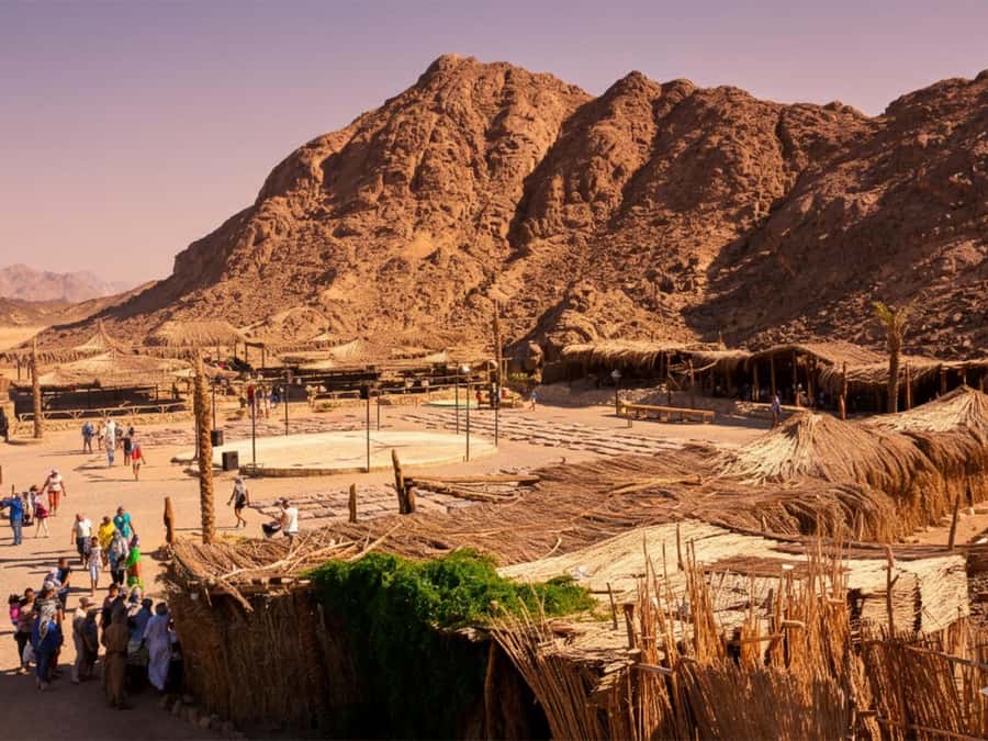 Hurghada: Sea & Desert Camel Ride w/Dinner, Show, Stargazing - The 2-hour camel ride: what the route feels like