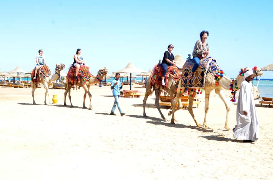 Hurghada: Sea & Desert Camel Ride w/Dinner, Show, Stargazing - Sunset to stars: dinner, dance show, and stargazing night plan