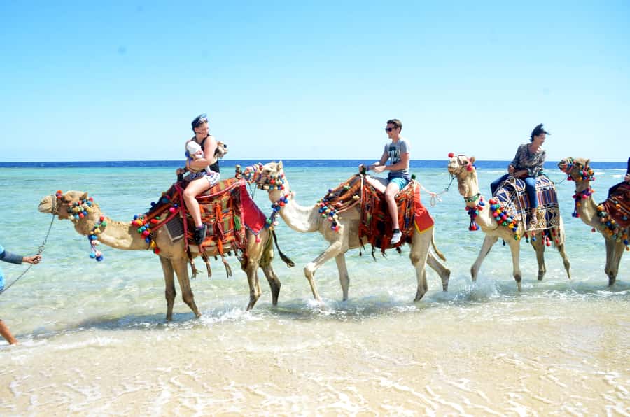 Hurghada: Sea & Desert Camel Ride w/Dinner, Show, Stargazing - Safety and organization: what’s built in