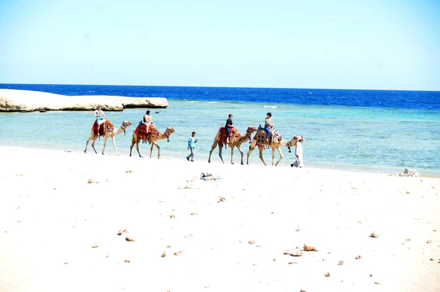 Hurghada: Sea & Desert Camel Ride w/Dinner, Show, Stargazing - Price and value: why around $26 can work (if you plan smart)