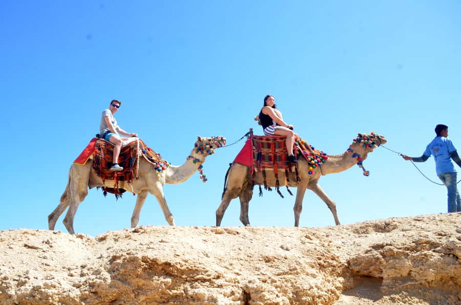 Hurghada: Sea & Desert Camel Ride w/Dinner, Show, Stargazing - Where pickup times fit your day (and why location matters)