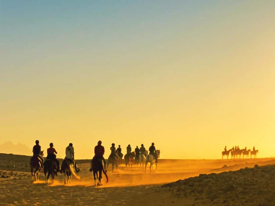 Hurghada: Sea & Desert Horse Tour, Stargazing, Dinner & Show - Key highlights to know before you go