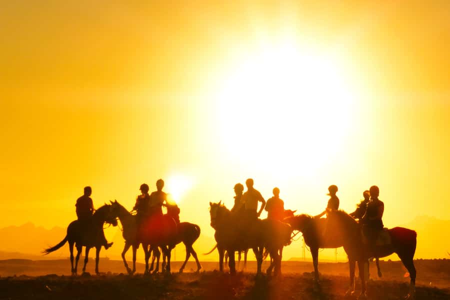 Hurghada: Sea & Desert Horse Tour, Stargazing, Dinner & Show - Safety, horses, and the rider rules you must respect