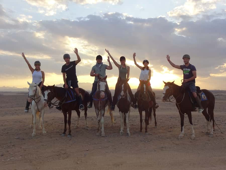 Hurghada: Sea & Desert Horse Tour, Stargazing, Dinner & Show - Hurghada Horse Riding Through Desert and Red Sea Views