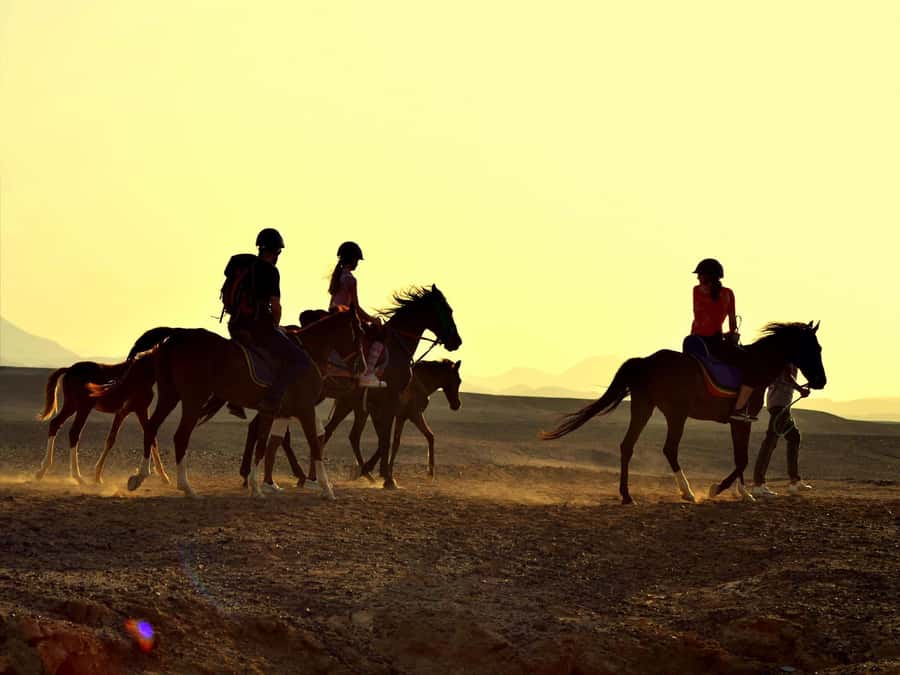 Hurghada: Sea & Desert Horse Tour, Stargazing, Dinner & Show - The VIP 4-hour program with a Red Sea swim (when it’s included)