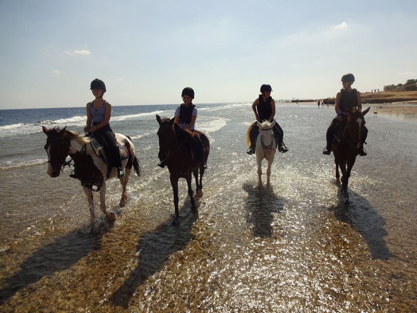 Hurghada: Sea & Desert Horse Tour, Stargazing, Dinner & Show - Getting there from Hurghada, Makadi Bay, and the rest