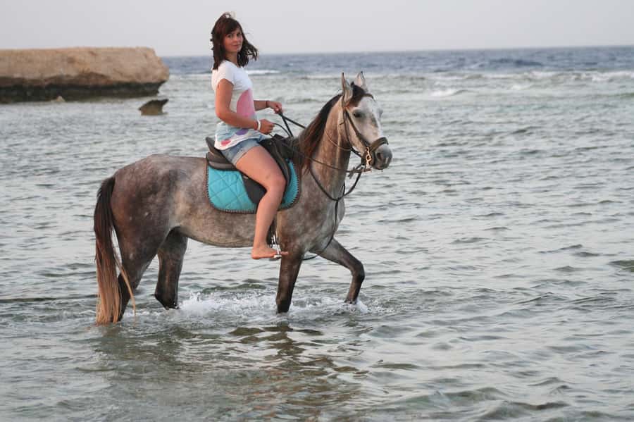 Hurghada: Sea & Desert Horse Tour, Stargazing, Dinner & Show - Sunrise vs Sunset: How timing changes the whole experience