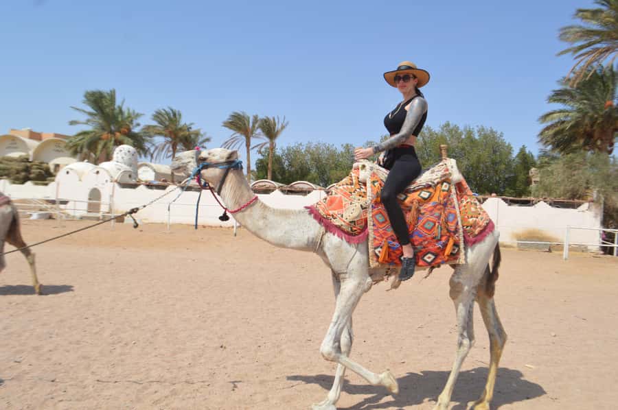Hurghada: Sunset Quad Bike, Camel w/ Opt Stargazing and BBQ - Stargazing with telescopes: what you’re likely to see