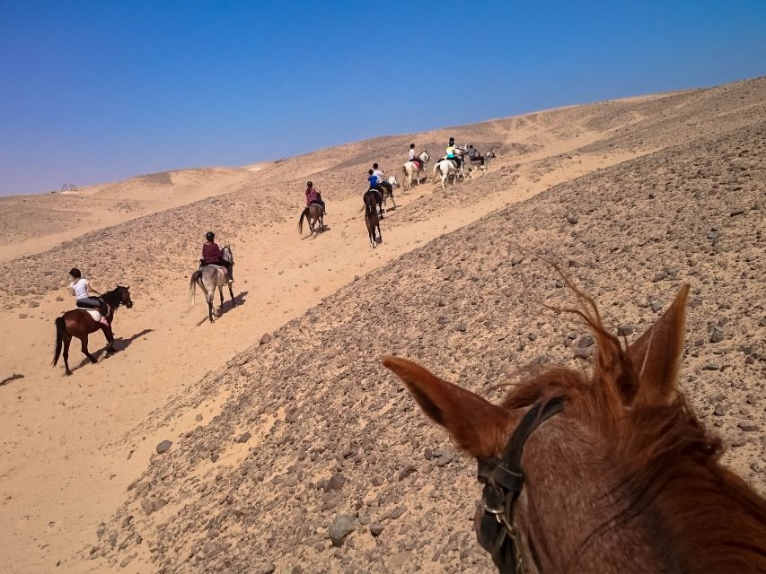 Hurghada: Sunset Sea, Desert Horse W Opt, Dinner, Stargazing - What to Bring (So You Don’t Regret It Later)