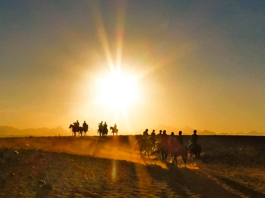 Hurghada: Sunset Sea, Desert Horse W Opt, Dinner, Stargazing - The Horse Riding Portion: What You Actually Do on the Sand