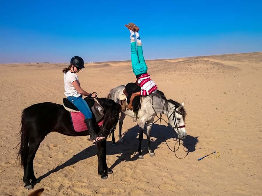 Hurghada: Sunset Sea, Desert Horse W Opt, Dinner, Stargazing - Swim Stop Option: When the VIP 4-Hour Choice Is Worth It