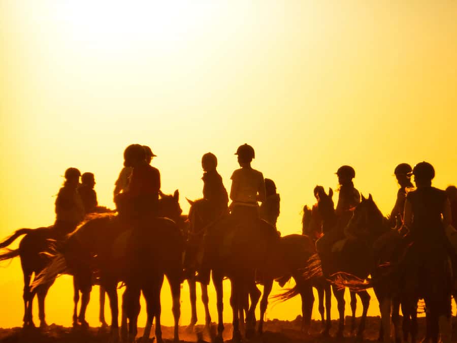 Hurghada: Sunset Sea, Desert Horse W Opt, Dinner, Stargazing - Stargazing or Dinner and Show: How to Choose Your Ending