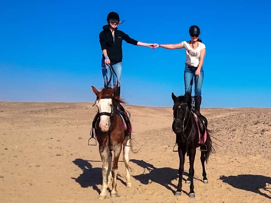 Hurghada: Sunset Sea, Desert Horse W Opt, Dinner, Stargazing - Photo Stops: Why the Timing Feels Like More Than “Just Pictures”