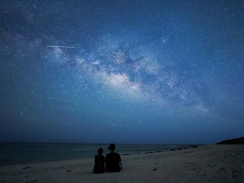 Ishigaki: Jungle Walk and Stargazing Night Tour - Why Ishigaki’s night jungle feels so special