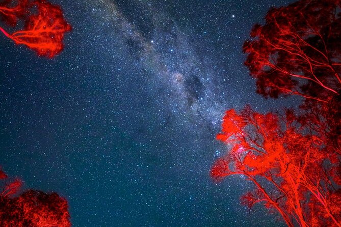 Jervis Bay Beach Stargazing Tour with our Astronomer - Telescope time: what you might see (and what changes by season)