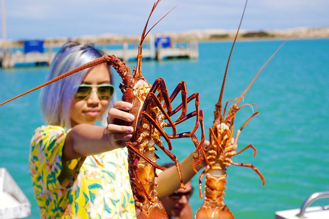 Kalbarri Stargazing Tour - Your guides: what Christina and Guy bring to the night sky