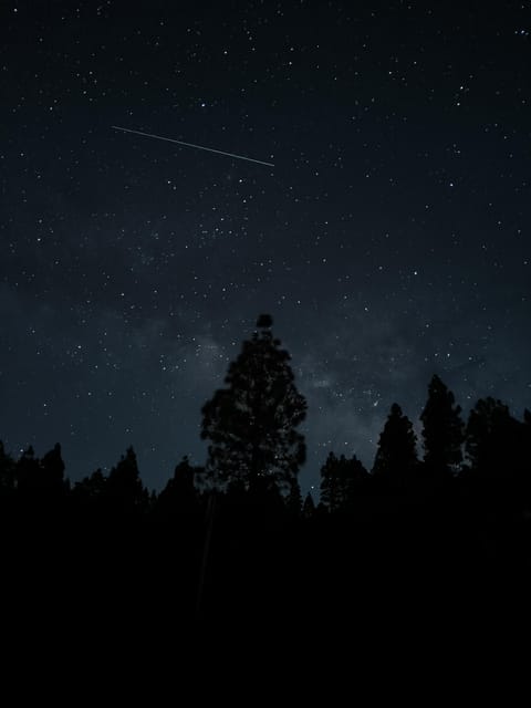 La Palma: Stargazing in the best sky in the world - What the tour feels like in the first 30–45 minutes