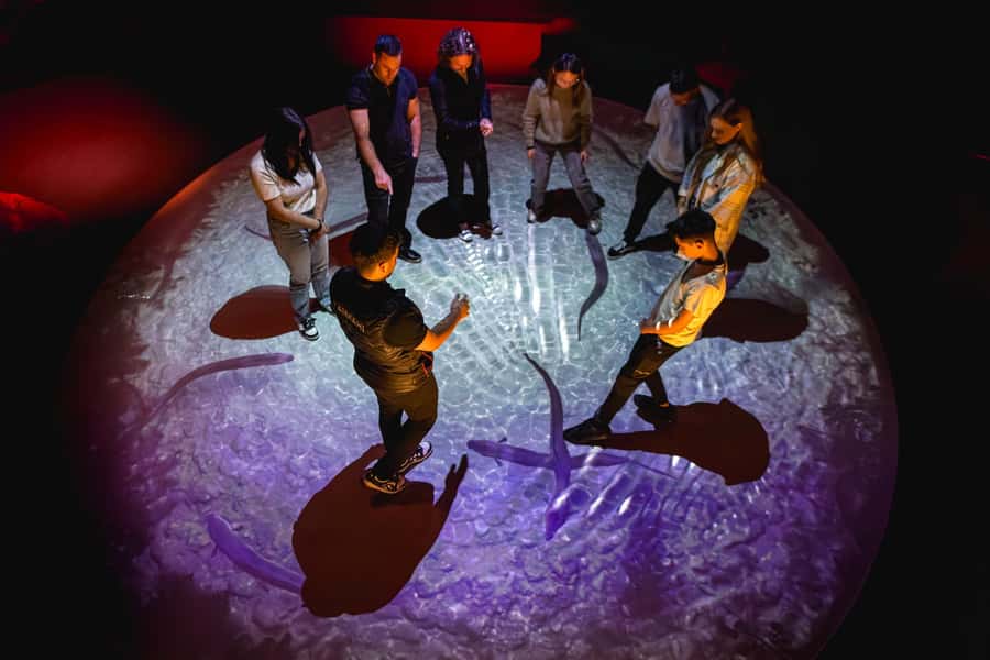 Lake Tekapo: Indoor Māori Cultural Astronomy Experience - Inside a 45-minute Māori astronomy show: your path through four zones