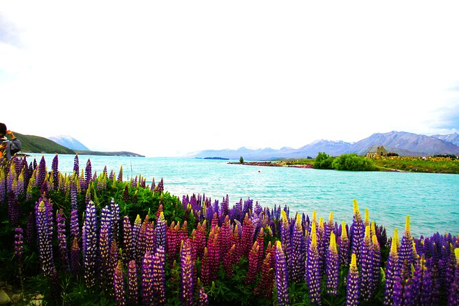 Lake Tekapo Stargazing & Mount Cook 2-Day Tour from Christchurch - University of Canterbury Mt. John Observatory: stars with a wider view