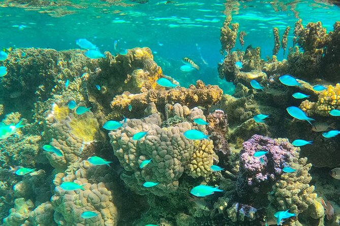 Legend Storytelling and Stargazing in Bora Bora - Who should book this Bora Bora stargazing cruise