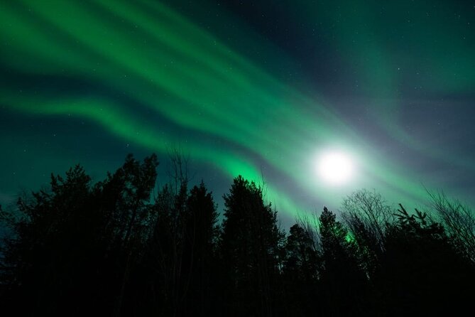 Levi: Aurora Borealis Tour and Stargazing Experience - Weather, Cold, and What to Expect When the Lights Are Late